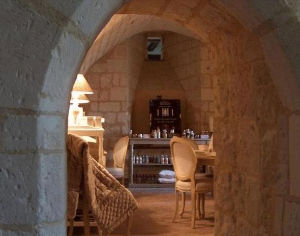 Chateau De Charge Hotel Tours Eksteriør billede
