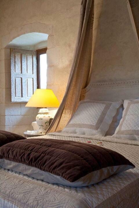 Chateau De Charge Hotel Tours Eksteriør billede
